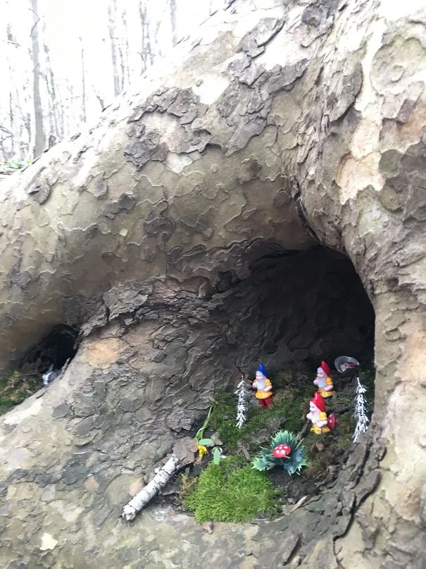 Pequenos gnomos de jardim e plantas dentro do buraco de um tronco de árvore