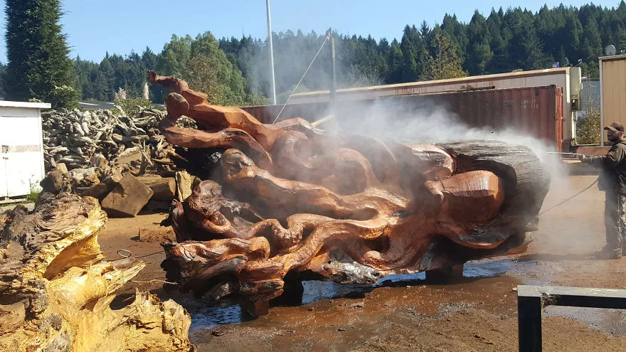 A escultura do polvo a ser lavada com jato de água ao ar livre