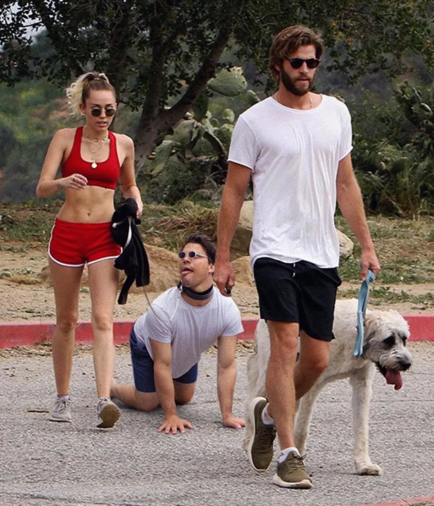 Average Rob de gatas e com trela ao pescoço, passeado por um casal ao lado de um cão