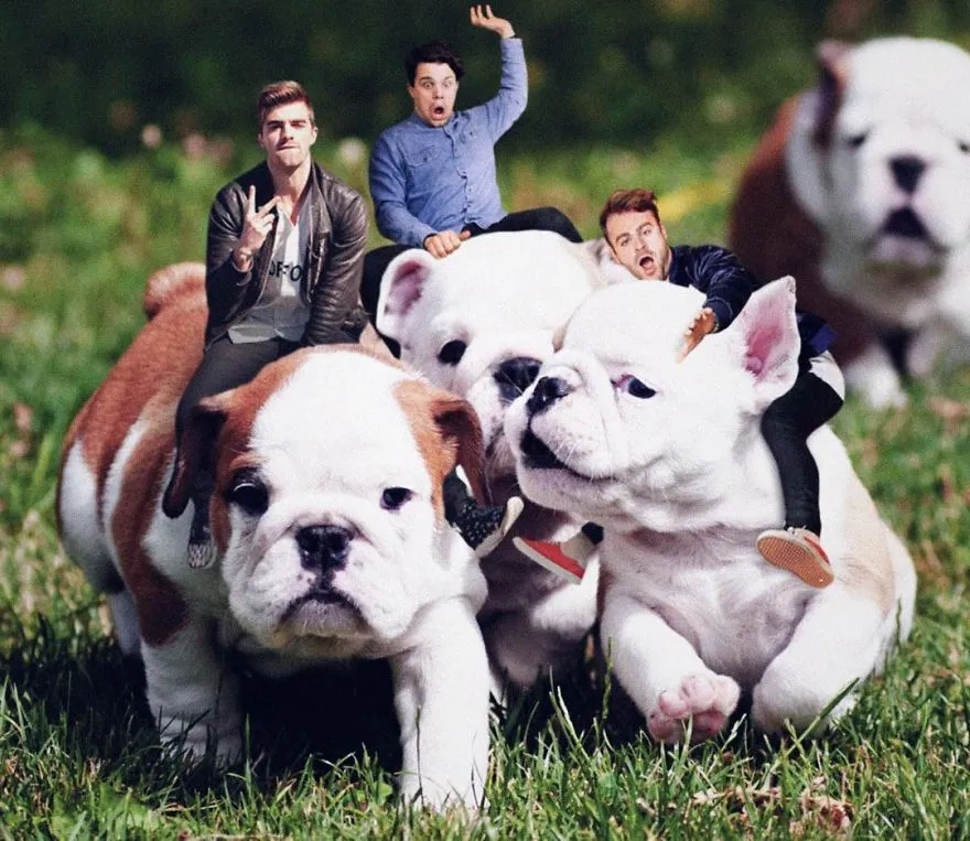 Três homens em miniatura, entre eles Average Rob, montados em cachorros bulldog na relva