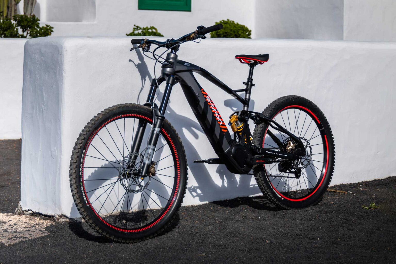 Audi RS Q E-Tron Dakar Electric Mountain Bike