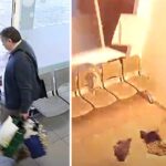 Escapou por ‘um triz’ a violenta explosão em lavandaria