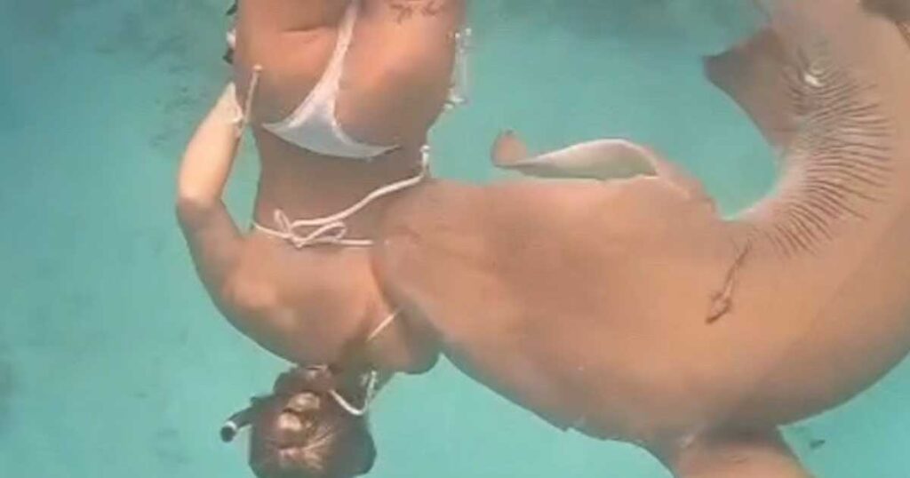 Turista é mordida por tubarão nas Maldivas e o momento é assustador