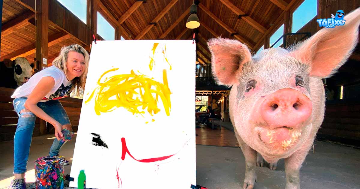 Morreu Pigcasso, a porquinha pintora que vendeu quase um milhão de euros com os quadros2